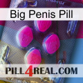 Big Penis Pill 02